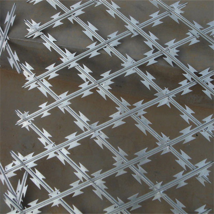 江西菱形孔刀片防護(hù)網(wǎng)