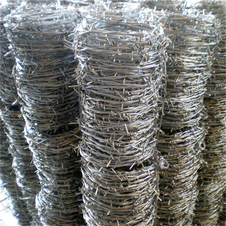 河北鐵蒺藜防護網(wǎng)