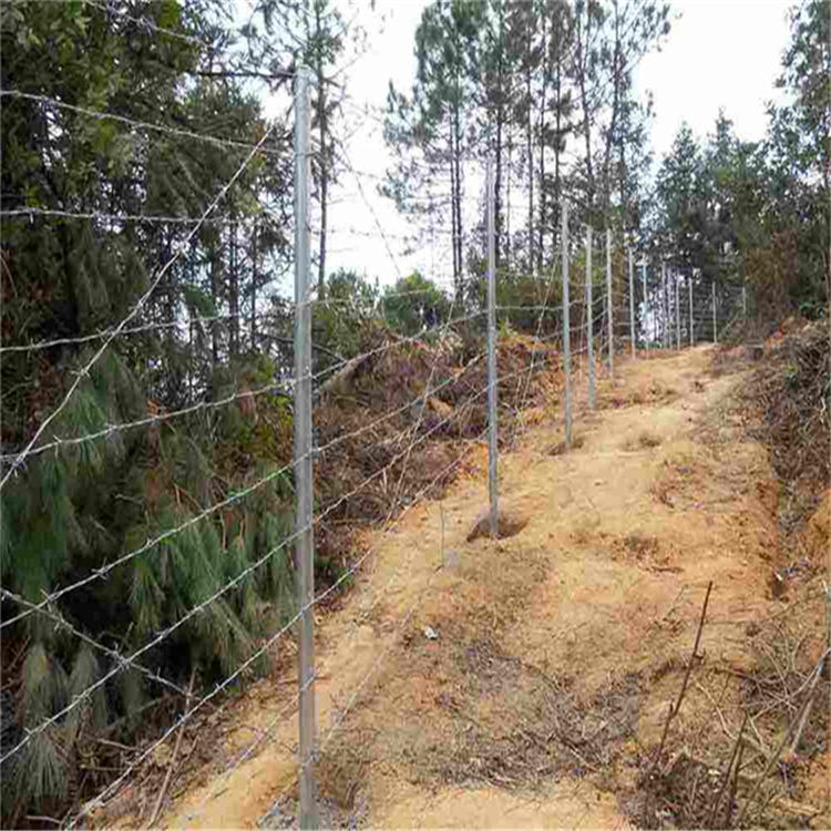 刀片刺繩隔離柵